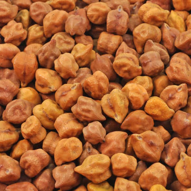 Bengal gram